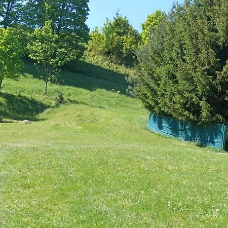 Apartamenty Sowianka Ludwikowice Kłodzkie Exteriör bild