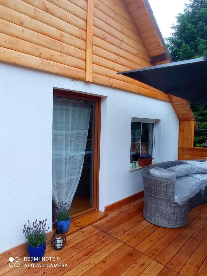 Apartamenty Sowianka Ludwikowice Kłodzkie Exteriör bild