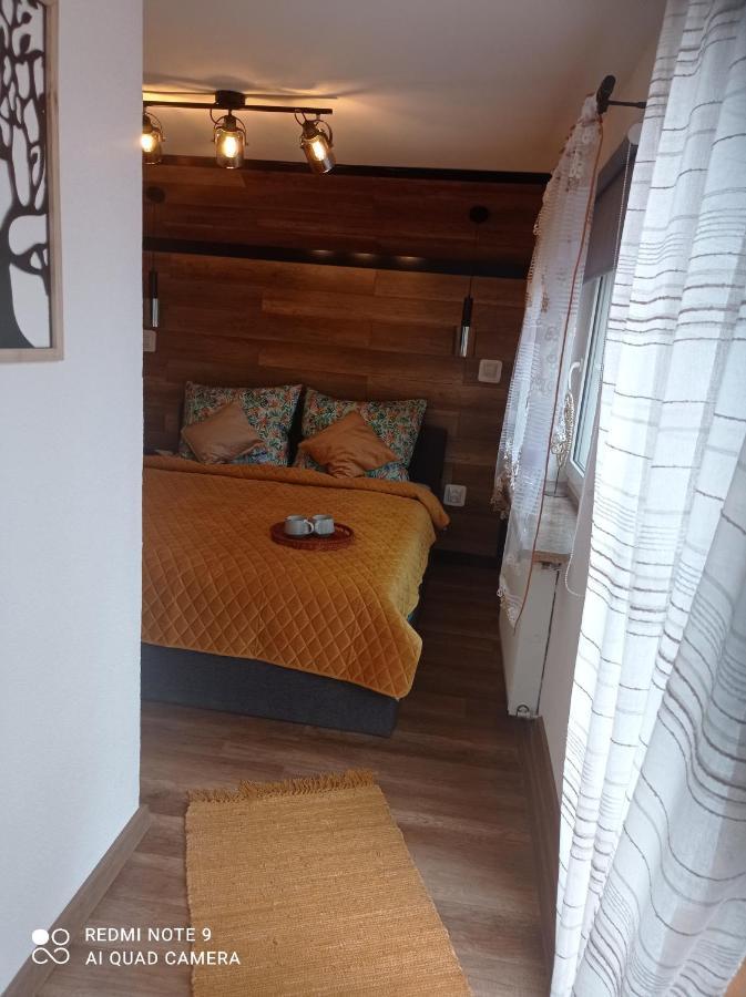 Apartamenty Sowianka Ludwikowice Kłodzkie Exteriör bild