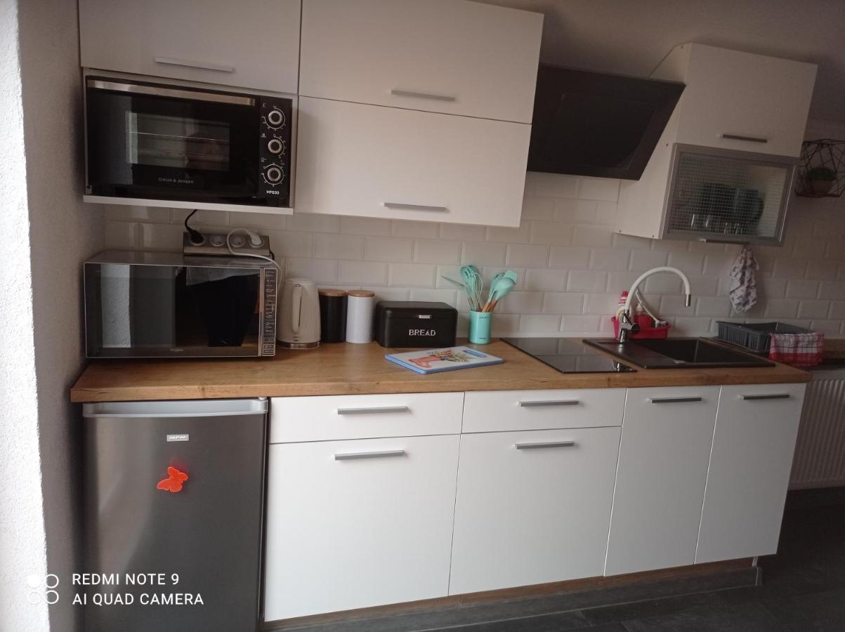 Apartamenty Sowianka Ludwikowice Kłodzkie Exteriör bild